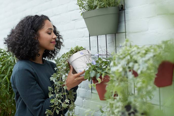 loft urban green wall duo 28cm pistache green